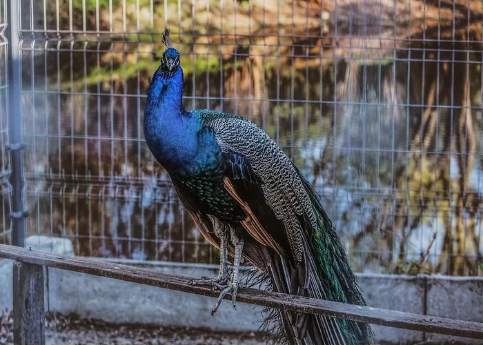 Luxury Bytom 4* Piekary Slaskie